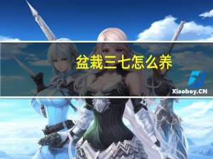 盆栽三七怎么养