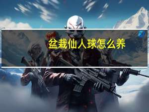 盆栽仙人球怎么养