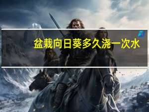 盆栽向日葵多久浇一次水