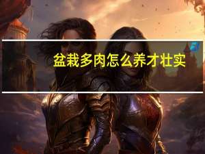 盆栽多肉怎么养才壮实