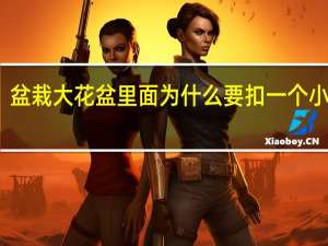 盆栽大花盆里面为什么要扣一个小花盆
