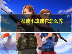 盆栽小玫瑰花怎么养