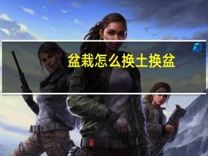 盆栽怎么换土换盆