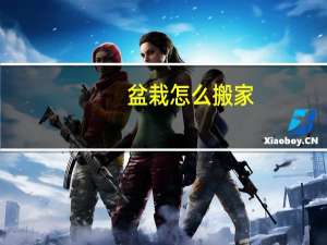 盆栽怎么搬家