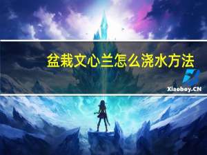 盆栽文心兰怎么浇水方法