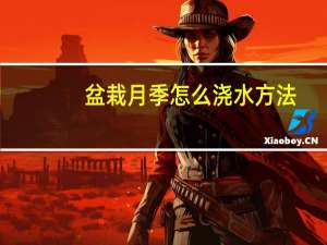 盆栽月季怎么浇水方法