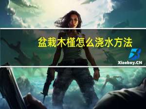 盆栽木槿怎么浇水方法