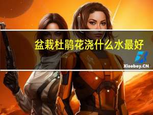 盆栽杜鹃花浇什么水最好