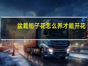 盆栽栀子花怎么养才能开花