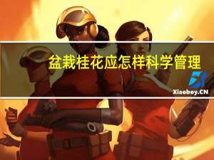 盆栽桂花应怎样科学管理