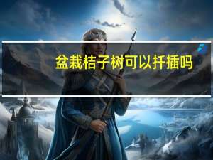 盆栽桔子树可以扦插吗