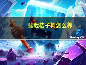 盆栽桔子树怎么养（盆栽桔子树怎么养）