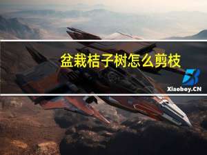 盆栽桔子树怎么剪枝