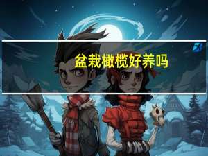 盆栽橄榄好养吗