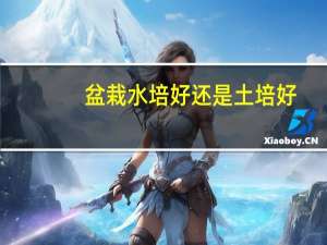 盆栽水培好还是土培好