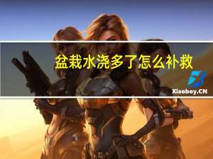 盆栽水浇多了怎么补救