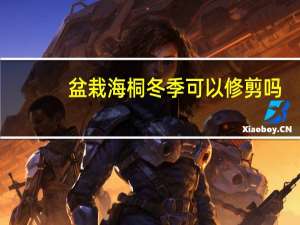 盆栽海桐冬季可以修剪吗