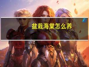 盆栽海棠怎么养