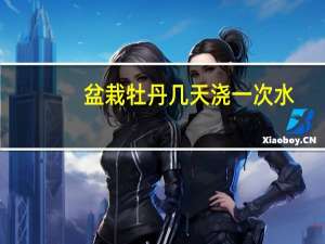 盆栽牡丹几天浇一次水