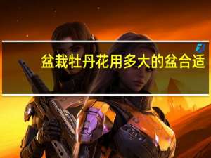 盆栽牡丹花用多大的盆合适