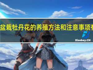 盆栽牡丹花的养殖方法和注意事项有哪些