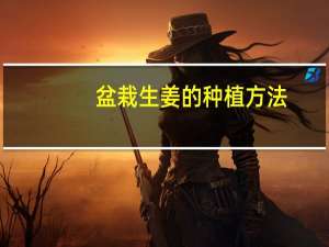 盆栽生姜的种植方法