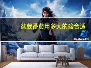 盆栽番茄用多大的盆合适