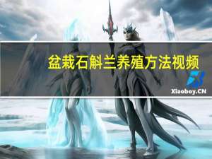 盆栽石斛兰养殖方法视频（盆栽石斛兰养殖方法）