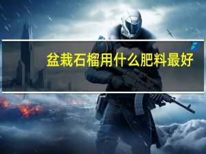 盆栽石榴用什么肥料最好