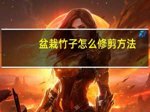 盆栽竹子怎么修剪方法