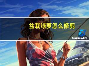 盆栽绿萝怎么修剪