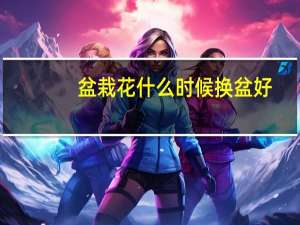 盆栽花什么时候换盆好