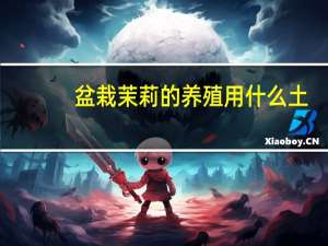 盆栽茉莉的养殖用什么土