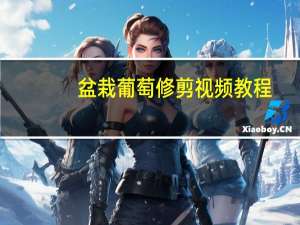 盆栽葡萄修剪视频教程