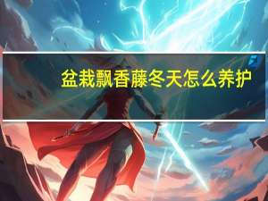 盆栽飘香藤冬天怎么养护