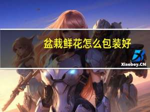 盆栽鲜花怎么包装好