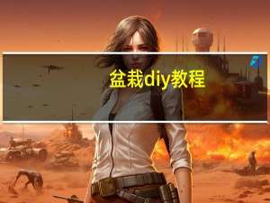 盆栽diy教程