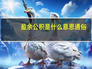 盈余公积是什么意思通俗（盈余公积是什么意思通俗点讲）