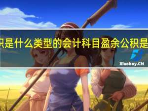 盈余公积是什么类型的会计科目 盈余公积是什么类科目啊