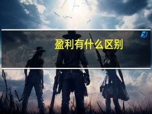 盈利有什么区别？