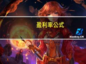 盈利率公式