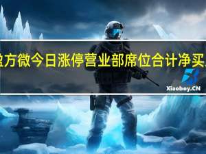 盈方微今日涨停营业部席位合计净买入9210.71万元