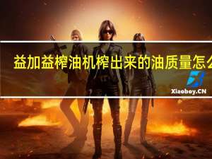 益加益榨油机榨出来的油质量怎么样（益加益榨油机好吗）