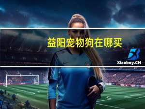 益阳宠物狗在哪买