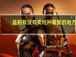 益阳有没有卖纯种藏獒的地方