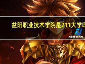 益阳职业技术学院是211大学吗