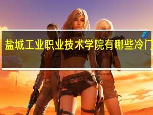 盐城工业职业技术学院有哪些冷门专业