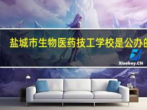 盐城市生物医药技工学校是公办的吗