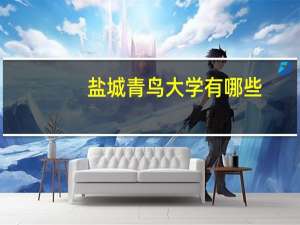 盐城青鸟大学有哪些