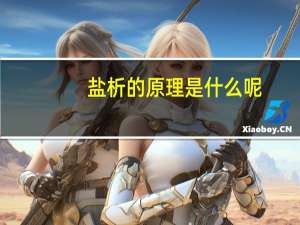 盐析的原理是什么呢_